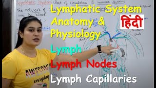 Lymphatic System in Hindi  Lymph  Lymph Nodes  Lymph Vessels  Anatomy amp Physiology [upl. by Siva]