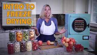 Introduction to Freeze Drying and the Harvest Right Freeze Dryer [upl. by Nylrad]