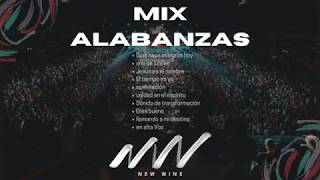 MÚSICA CRISTIANA  ALABANZAS  New Wine  MIX  GOZO [upl. by Arihay663]