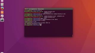 Linux Basics How to Copy Files and Directories [upl. by Giuseppe]