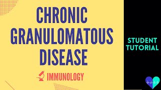 Chronic Granulomatous Disease  Medical Tutorial [upl. by Anyah]