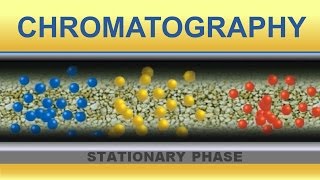 Chromatography Animation IQOGCSIC [upl. by Betthezul]