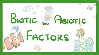 GCSE Biology  Biotic and Abiotic Factors 83 [upl. by Sema]