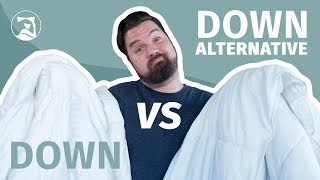 Down Vs Down Alternative Comforters  How Can You Choose [upl. by Chladek]