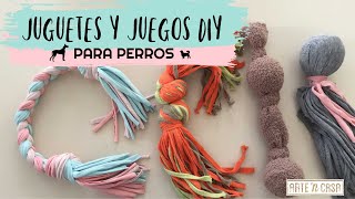 DIY juguetes y juegos para perros [upl. by Sochor]