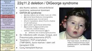 Primary immunodeficiency disorders [upl. by Hopper]