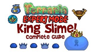 Terraria King Slime Guide Spawn Expert Mode Drops Fight How to Cheese amp more [upl. by Aerbua371]