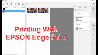 Epson Edge Print  A Detailed Dive Through The Software [upl. by Nonnag548]