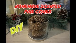 DIY HOMEMADE SCENTED PINE CONES  ESSENTIAL OIL RECIPE [upl. by Theta]