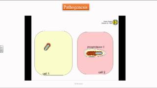 Listeria monocytogenes [upl. by Linders]