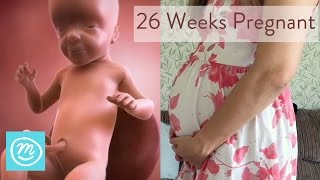 26 Weeks Pregnant What You Need To Know  Channel Mum [upl. by Ocsic]