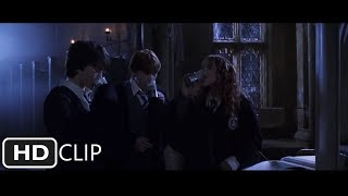 Polyjuice Potion  Harry Potter and the Chamber of Secrets [upl. by Yrtua]