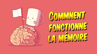 Psychologie  Comment fonctionne la mémoire [upl. by Hurlee240]