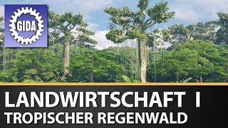 Trailer  Landwirtschaft I  Tropischer Regenwald  Geographie  Schulfilm [upl. by Saidel]