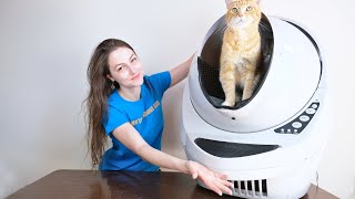 Litter Robot III Connect Review We Tested It For 2 Weeks [upl. by Nagirrek]