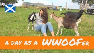 A day in the life of a WWOOFer  Scottish Highlands [upl. by Melania]