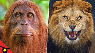 6 SECRETS sombres des DOCU ANIMALIERS 🦁 [upl. by Novert389]