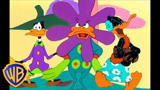 Looney Tunes  Duck Amuck  Classic Cartoon  WB Kids [upl. by Aurie]