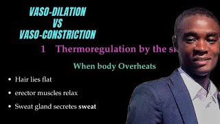 Homeostasis Vasodilation Vs Vasoconstriction [upl. by Noremac776]