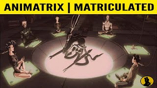 THE ANIMATRIX  Matriculated  Fnally Explained [upl. by Einitsed846]