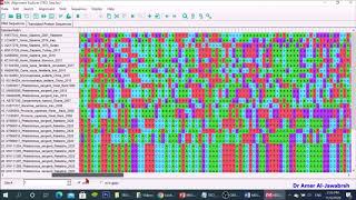 MEGA X How to construct a phylogenetic tree [upl. by Zitvaa775]