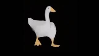 Dancing Eminem Goose  1 Hour But its actually the full song [upl. by Earehc]