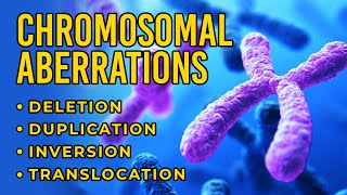 Chromosomal Aberrations  Deletion  Duplication  Inversion  Translocation [upl. by Brazee235]