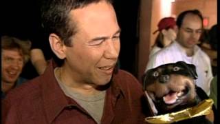 Triumph the Insult Comic Dog  Hollywood Squares [upl. by Eelnodnarb386]