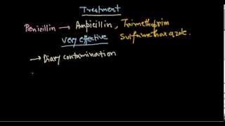 Listeria monocytogenes treatment [upl. by Melisenda524]