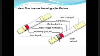 Guide to Immunochromatographic Assay [upl. by Siol]