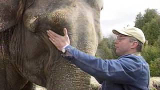 Bowmanville Zoo elephant remembered [upl. by Gnos]