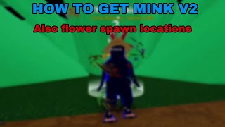 HOW TO GET MINK V2 IN BLOX FRUITS [upl. by Rainah]