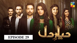 Diyar e Dil Episode 29 HUM TV Drama [upl. by Sayers]