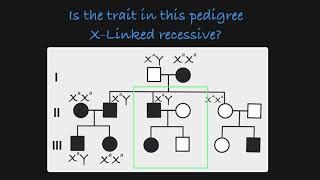 XLinked Recessive Traits in a Pedigree [upl. by Asylem]