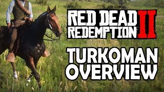 Turkoman Overview  Red Dead Redemption 2 Horses [upl. by Xuagram]