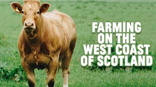 Farming on the west coast of Scotland [upl. by Eittah]