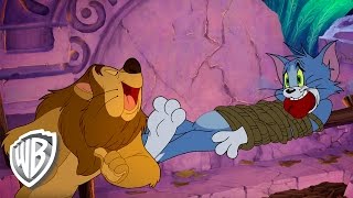 Tom amp Jerry  Back to Oz King Of The Forest [upl. by Yarehs]