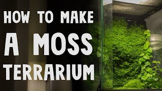 How to Make a Moss Terrarium [upl. by Tigram]