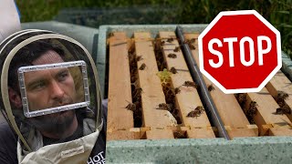 STOP  THIS Is How To Maximise Your Honey Harvest [upl. by Woodley174]