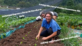 LIVING AND WORKING ON AN ORGANIC FARM IN ITALY WWOOF [upl. by Clougher]