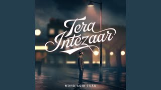 Tera Intezaar [upl. by Nevin735]