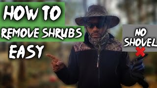 HOW TO REMOVE SHRUBS 🌳EASY  No Shovel❌Landscape Plant Removal [upl. by Hadden]