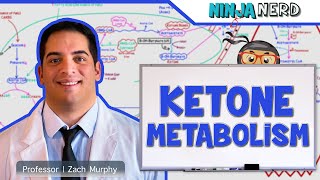 Metabolism  Ketone Metabolism [upl. by Delores]