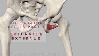 PROSTHODONTICS  What is Palatal Obturator [upl. by Saffren]