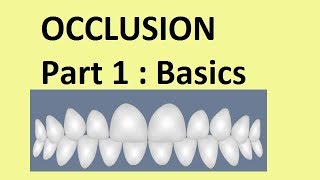 Occlusion  Part 1Basic concepts [upl. by Eizus114]