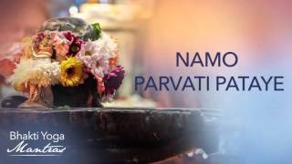 Namo Parvati Pataye  Paramahamsa Vishwananda  Bhakti Yoga Mantras [upl. by Falconer]