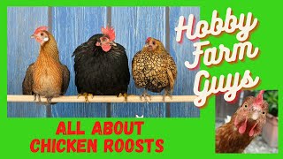 Chicken Roosts Everything You Never Knew You Needed to Know [upl. by Rhine]