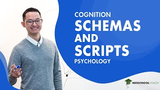 Schemas and Scripts for Cognition [upl. by Sucramraj]