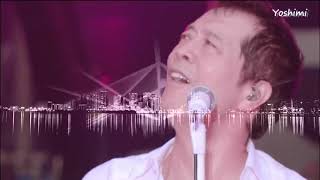 矢沢永吉  アリよさらば＆SOMEBODYS NIGHT  ap Bank fes 09 LIVE [upl. by Akcimehs10]