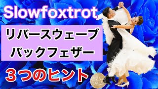 【極める！】リバースウェーブ＆バックフェザーを踊りこなすための３つのヒント【Slowfoxtrot】【社交ダンス】【のりみちch】 [upl. by Enaitsirhc58]